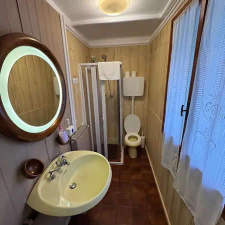 Just For Single Exclusive Lionsclass