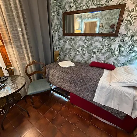 Just For Single Exclusive Lionsclass *