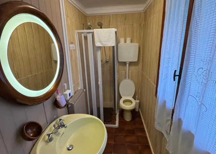 Just For Single Exclusive Lionsclass