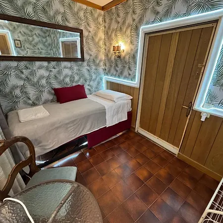 홈스테이 Just For Single Exclusive Lionsclass *