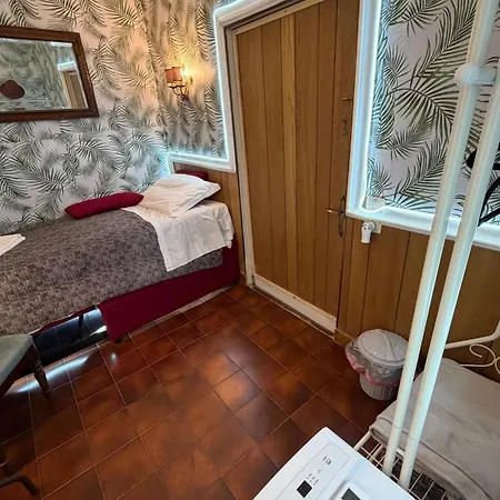 Just For Single Exclusive Lionsclass