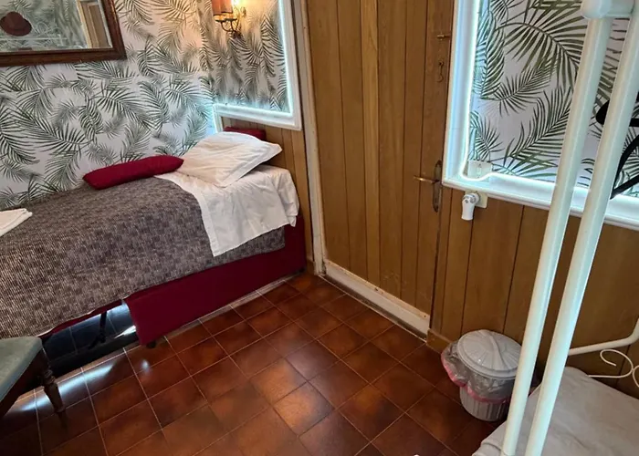 Just For Single Exclusive Lionsclass